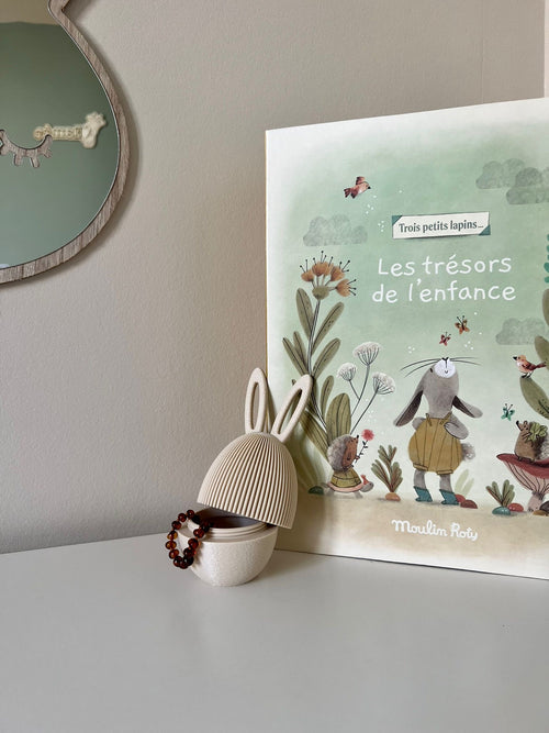 Boîte oeuf oreilles lapin de pâques