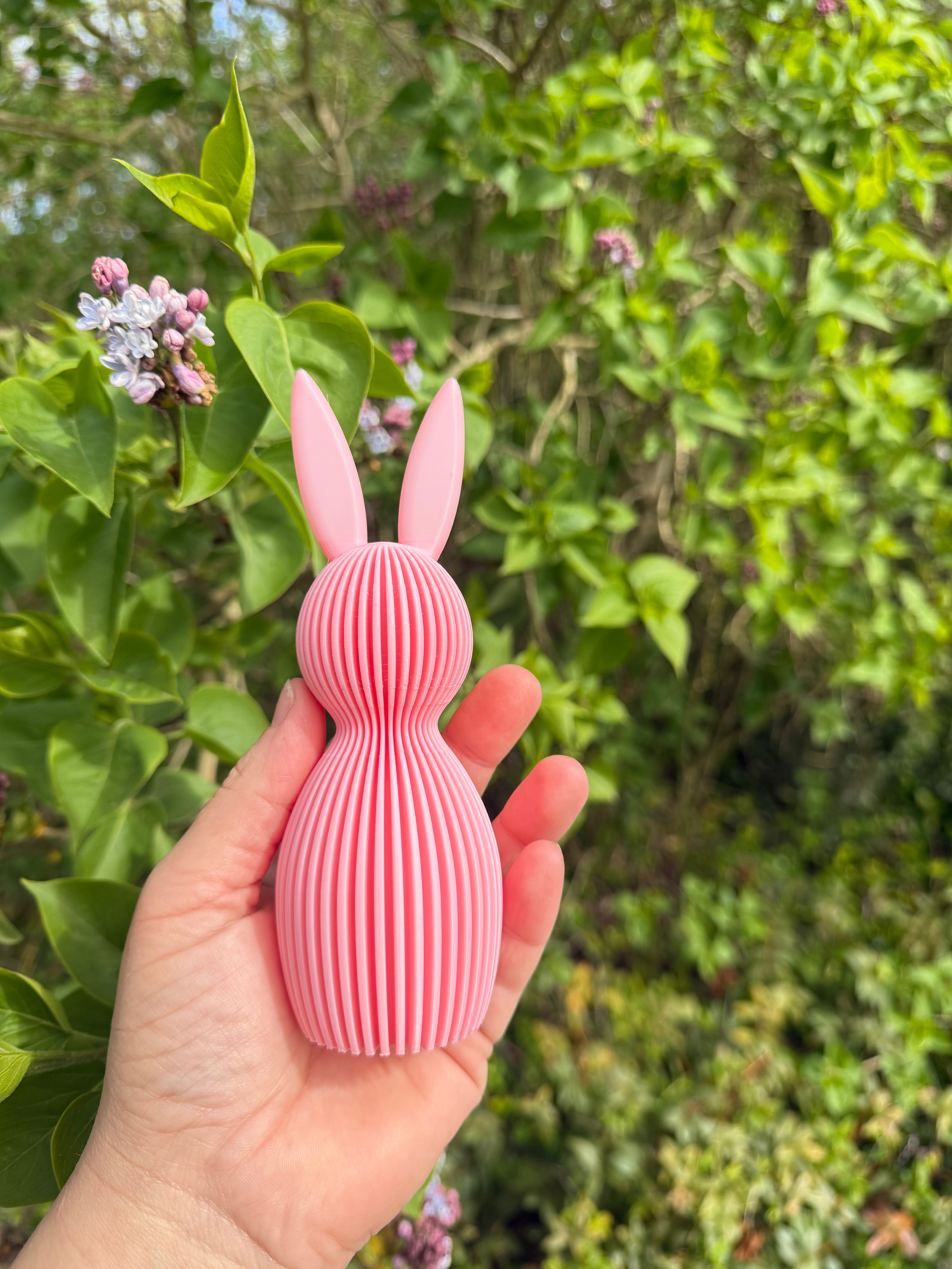 Lapin de pâques