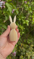 Lapin de pâques