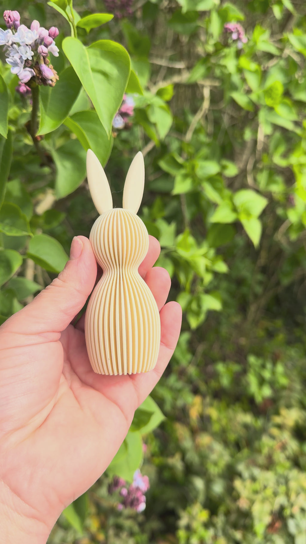 Lapin de pâques